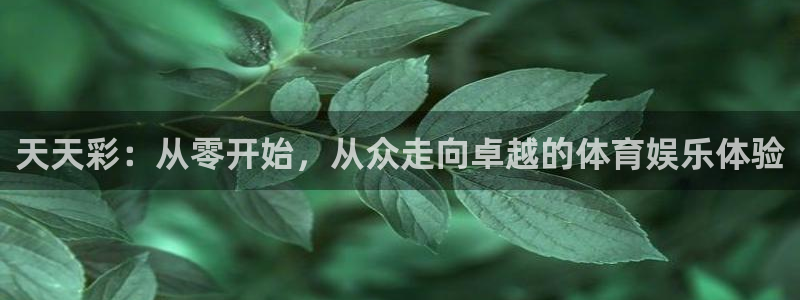 pg模拟器试玩·com