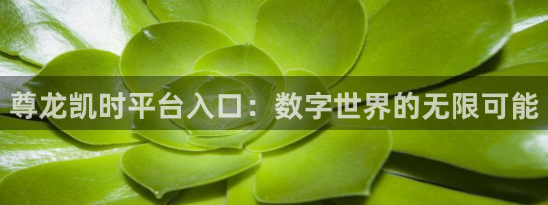 pg电子麻将胡了攻略