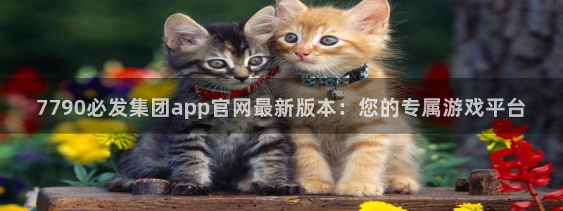 pg电子app宣传图：7790必发集团app官网最新版本：您的专属游戏平台