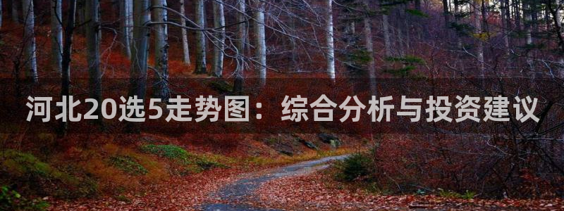 河北20选5走势图：综合分析与投资建议