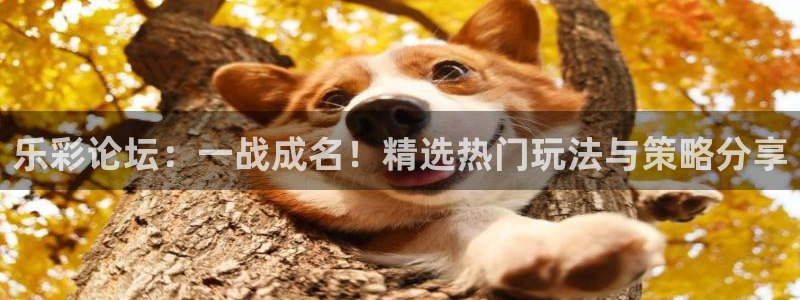 pg电子平台在线玩：乐彩论坛：一战成名！精选热门玩法与策略分享