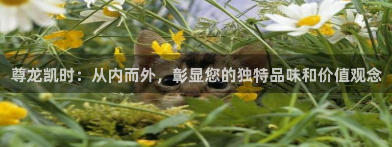 赏金女王pg破解版苹果：尊龙凯时：从内而外，彰显您的独特品味和价值观念