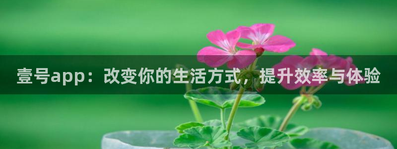 pg电子试玩网站模拟器：壹号app：改变你的生活方式，提升效率与体验